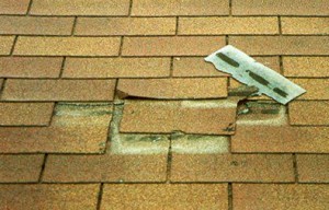 Checking for loose shingles on your roof is necessary as your roof ages.