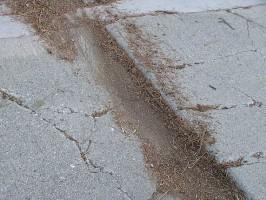 Concrete Repair Oakland County Michigan