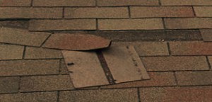 Obvious roof 3-tab shingle wind damage Obvious roof 3-tab shingle wind damage