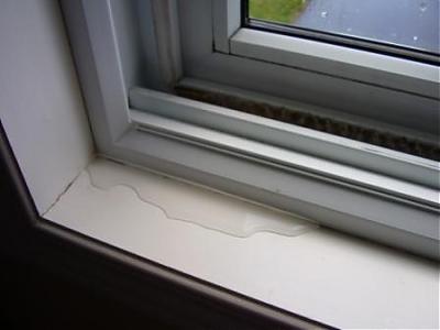 Detroit Area Window Moisture