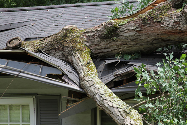 Michigan Roof Damage from Storm