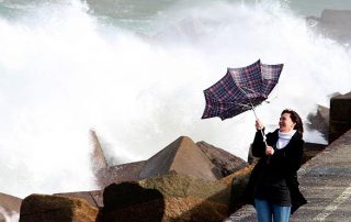 Protect Roof High Winds in St. Clair Shores MI
