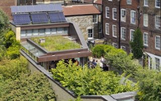 Roof Garden in Royal Oak