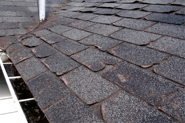 Five Early Signs That You Need To Replace Your Roof