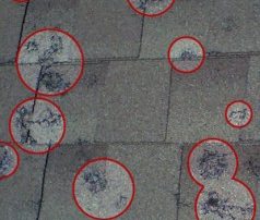 Roof Damage From Hail
