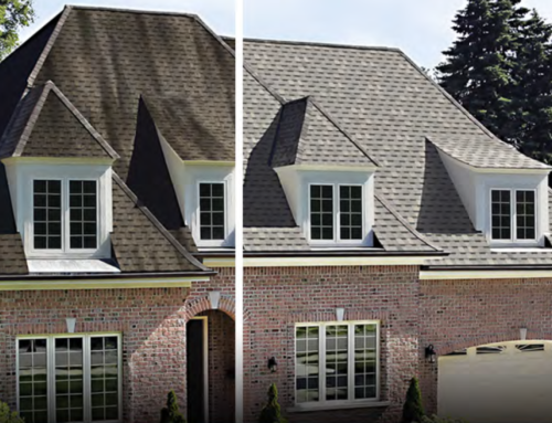 How mold damages your roof, and how can you prevent it?