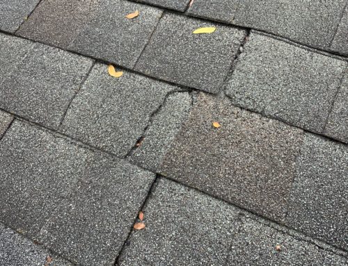 When should you repair or replace a roof?