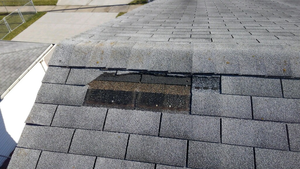Missing Roofing Shingles in Michigan